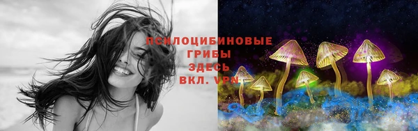 марки lsd Гусиноозёрск