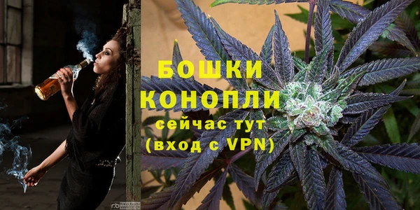 a pvp Гусев