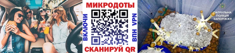 Галлюциногенные грибы мицелий  Купить  Горячеводский 